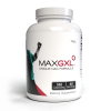 MaxGXL