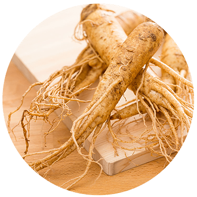 Image of Ginseng Root