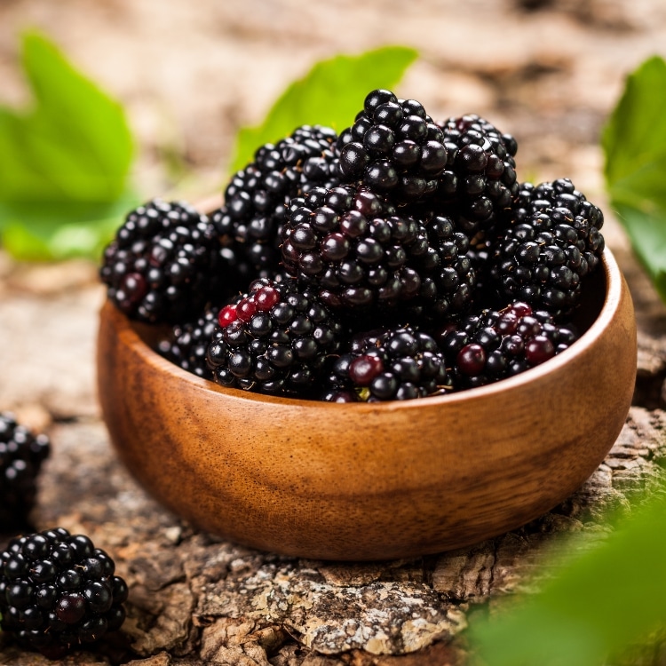 Black Raspberry Seed Oil